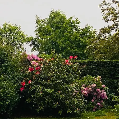 Maison 10p Avec Piscine, Chauffee Et Partagee Avec 1 Autre Gite, Horaires Privatifs Pour Chaque - Reservation Sur Https Auxportesdetretat Fr Villa Villainville