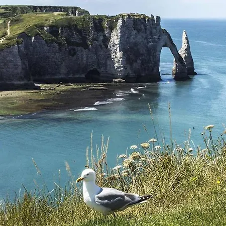 Villa Maison 10p Avec Piscine Privative Et Chauffee - Reservation Sur Https Auxportesdetretat Fr