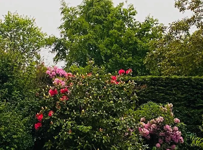 Maison 10p Avec Piscine Privative Et Chauffee D'avril A Novembre Βίλα Villainville