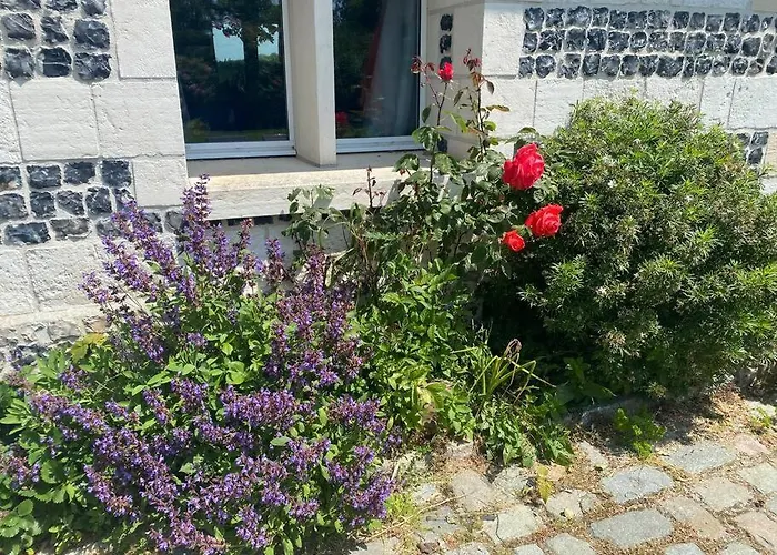 Maison 10p Avec Piscine Privative Et Chauffee D'avril A Novembre